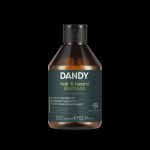 Dandy - Beard and Hair sampon 300ml