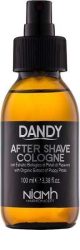 Dandy - After shave 100ml